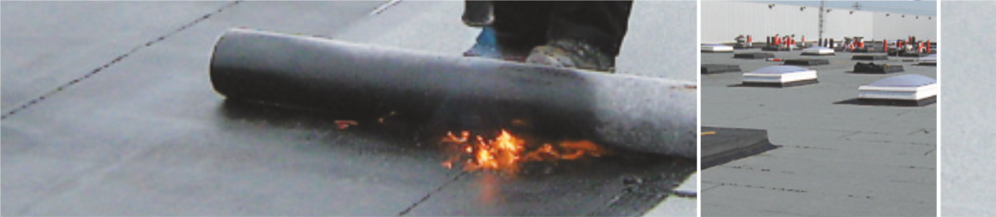 Hasse dachbahnen auftragen